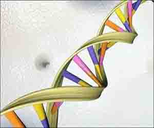   مصر اليوم - 3% فقط هو ما تبقى من جينات الانسان الاوروبي الاول الذى إندثر منذ 30 ألف سنة